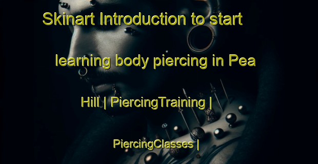 Skinart Introduction to start learning body piercing in Pea Hill | PiercingTraining | PiercingClasses | SkinartTraining-United States